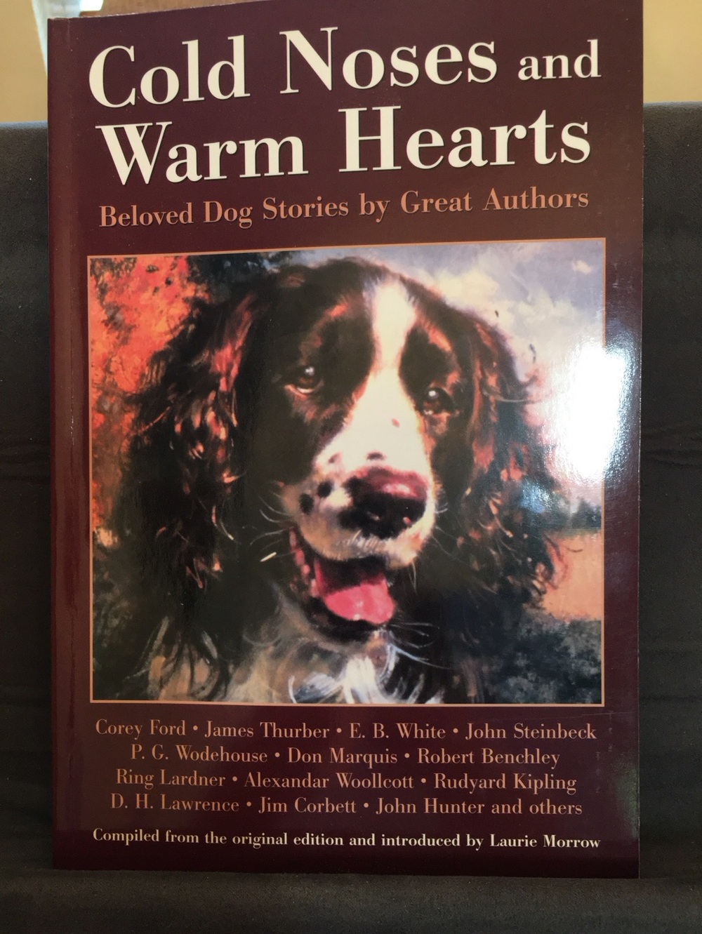 Cold Noses, Warm Hearts. A compilation of dog stories about dogs they have known